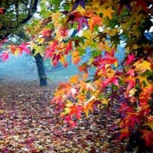 Meet your Posher, Sabine